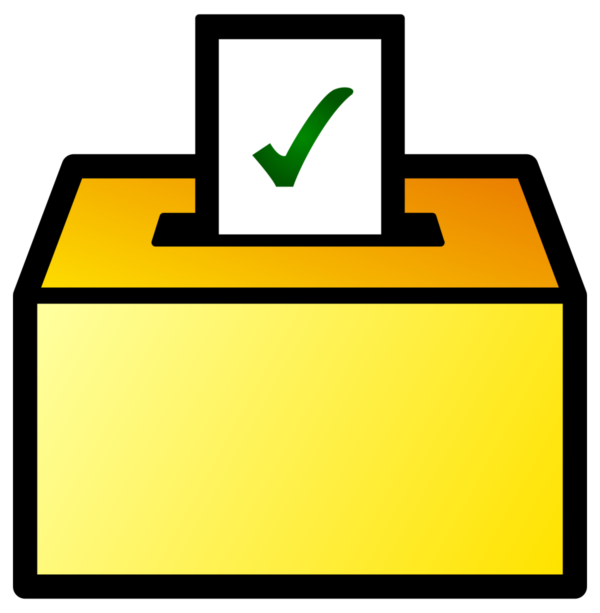 Report on US Voting System Requirements